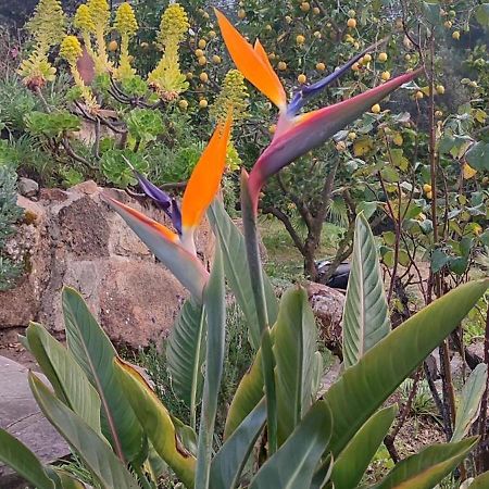 Villa Boheme Costa Brava Calonge  Kültér fotó