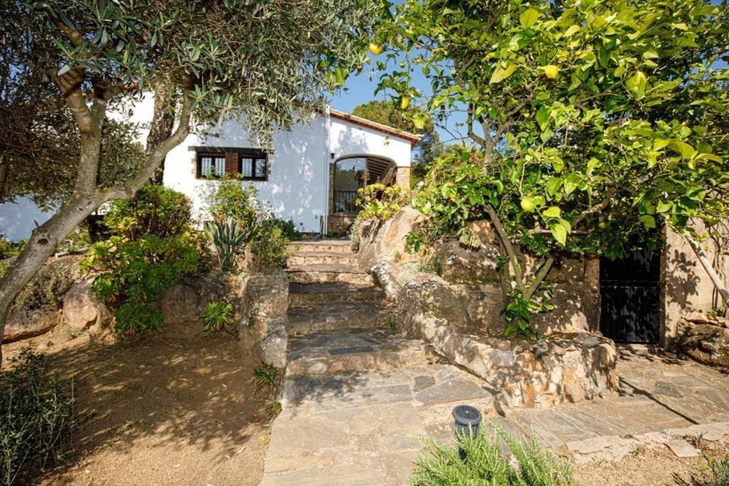 Villa Boheme Costa Brava Calonge  Kültér fotó