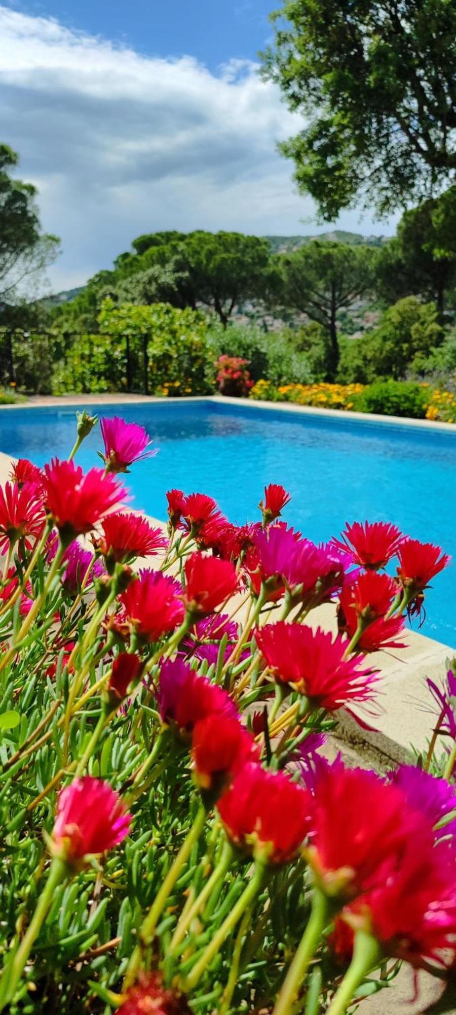 Villa Boheme Costa Brava Calonge  Kültér fotó